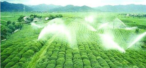 高效節(jié)水灌溉工程投標(biāo)文件  （技術(shù)標(biāo)書范本）