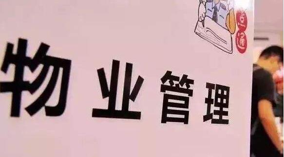 小區(qū)前期物業(yè)管理招標(biāo)文件范本