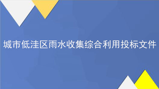 城市低洼區(qū)雨水收集綜合利用PPP項(xiàng)目投標(biāo)文件范本